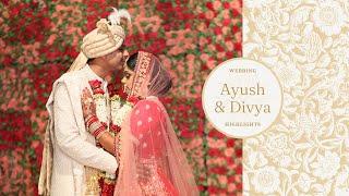 Ayush & Divya Wedding Highlights by Shootingwale | Indian Wedding Highlights 2023