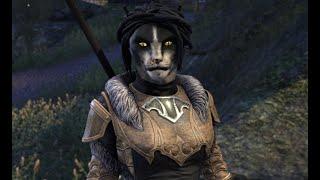 ESO: Ember Tracks Down Her Gang // (Companion Quest) Full Dialogue