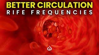 Improve Blood Circulation: Rife Frequencies for Blood Circulation Healing