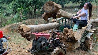 Transporting wood is extremely easy, watch the full video on the process of transporting wood