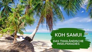 Warum du deinen nächsten Urlaub auf Koh Samui verbringen solltest! 🫶