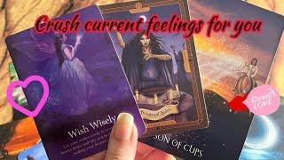 Crush Current feelings/ emotions for you️‍ Crush current feelings | Hindi tarot card