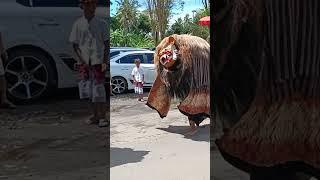 Barong macan mepalu