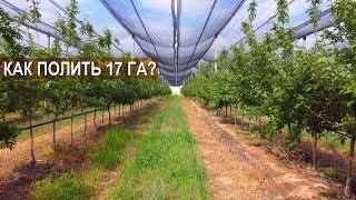 Как полить 17 Га яблоневого сада? Организация полива, капельное орошение. КХ Гани Атемова