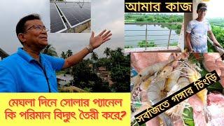 মেঘলা দিনে সোলার প্যানেল কি পরিমান বিদ্যুৎ তৈরী করে ?? সবজিতে সুস্বাদু গঙ্গার চিংড়ি। My Experience.