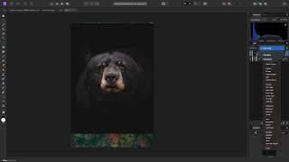 Affinity Photo Tutorial - Blending