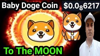 Baby Dogecoin PUMP || DRX Listing || ALL TIME HIGH SOON || Crazy Crypto Mintoo