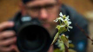 Only NERDS like Macro Photography! Nikon Z9 And 105 MC 2.8