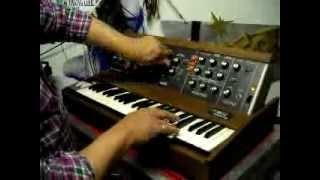 Moog Minimoog synth demo solo from Adriano Ancona tutorial demonstration test prova