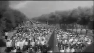 Убитые воробьи в Китае в 1958 году