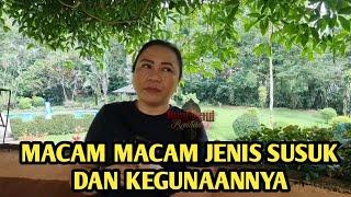 MACAM MACAM JENIS SUSUK DAN KEGUNAANNYA