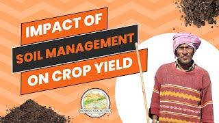 Impact of Soil Management on Crop Yield |Spring Scientific|Boost Your Farming with Proven Techniques