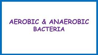 Aerobic & Anaerobic Bacteria Lecture