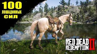 RDR 2 Мощный Голландский конь БЬЮЭЛ