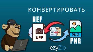 Как Конвертировать NEF В PNG Онлайн (простое Руководство)