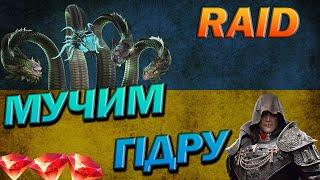 RAID: МУЧИМ ГІДРУ, АРЕНА