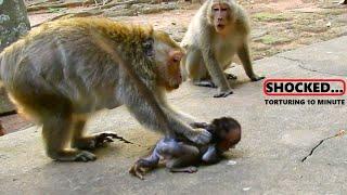 MILLIONS BREAKING HEART_ THE MISERABLE LIFE OF BABY MONKEY || WHY ADULT MONKEY MISTREATED BABY ONE?