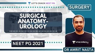 Surgical Anatomy- Urology | Surgery for Medical PG/NEET PG/NEXT | Dr Amrit Nasta