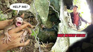 Full video. Rescuing a baby monkey abandoned by its mother. Baby monkey is sick.Family KunSu