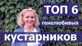 ТЕНЕЛЮБИВЫЕ КУСТАРНИКИ. Что посадить в тени. Какие кустарники сажать в тенистых местах