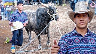 ¡JARIPEYAZO! ¡RAYITO DE LA TENENCIA Y LOS TOROS FASCINANTES JUNTOS EN TIRIPETIO MICH!