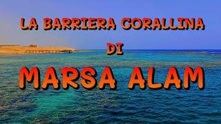 La barriera corallina di Marsa Alam