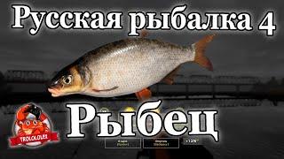 Русская рыбалка 4 Рыбец на реке Волхов