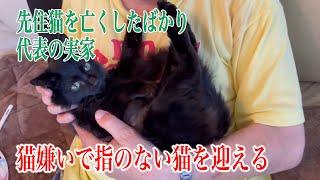 代表の実家に猫嫌いの猫を連れて行きました（犬は大丈夫らしい）