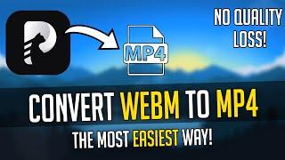 How to Convert WEBM to MP4 | The Easiest Way is Here!
