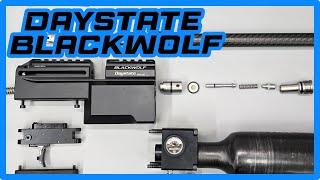 Everything you need to know about the new Daystate Blackwolf