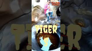 Kinemaster Creations Tiger Sadiq