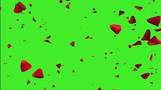 Rose Petals Falling Down  Effect Video In Green Screen