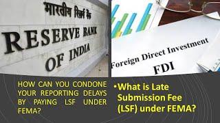What is Late Submission Fee LSF UNDER FEMA? How to Condone your reporting delays by paying LSFto RBI
