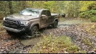 HONDA RIDGELINE gets ABUSED offroad, tacomas, tractor truck