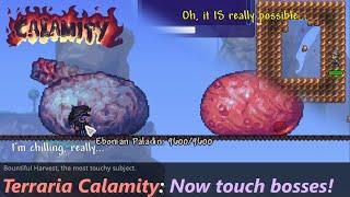 New Terraria Calamity update allows you to touch bosses. ─ The most touching Calamity update.