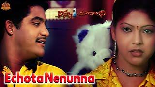 Echota Nenunna Telugu Lyrical Song | Ninnu Choodalani | Jr NTR Music