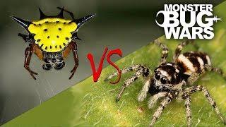 Spider vs Spider Showdowns #6-8 | MONSTER BUG WARS