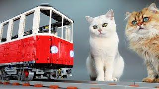 Cat Sized Lego Train