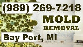 Mold Removal Bay Port MI (989) 269-7218 | Mold Remediation Bay Port Michigan