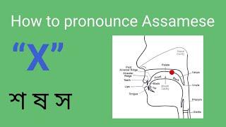 Learn Assamese | How to pronounce the "X" (শ, ষ, স)