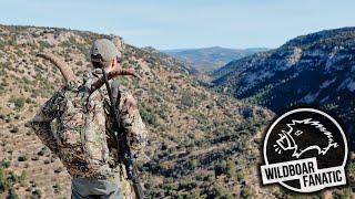 Beceite Ibex Jagd - Ein Traum wird wahr | Martjes Geis (Free Episode) #huntondemand #ibexhunting