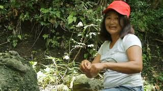 The Sound OF Nature Cinematic . Mancing Cantik Bali