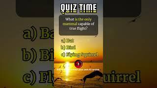 What is the only mammal capable of true flight #quiz #quizwhizchannel