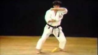 23 Kata Wankan Shotokan Karate Hirokazu Kanazawa