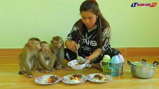 Smart Kako Luna & Olly Eating Rice With Fried Vegetables