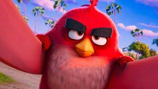 THE ANGRY BIRDS MOVIE 3 - Official Teaser Trailer