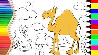 How to Colour Camel || Animal Colouring Pages