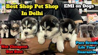 Cheapest Dogs Market In Delhi NCR | Husky Puppy | Dog in Cheap Price | Dog market