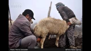 زندگی عشایر میکائیل لو، دشت مغان