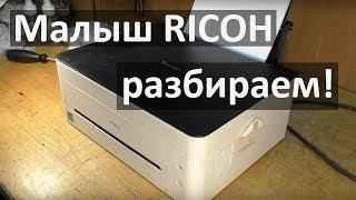 Ricoh SP 150su — разборка, чистка узла термозакрепления